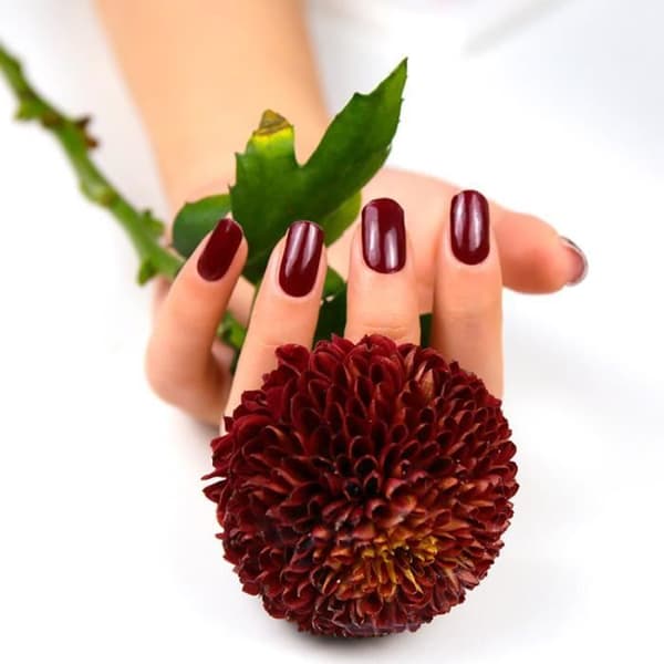 Premium Precured Gel Nail Stickers - NOOVES - Midnattsregn