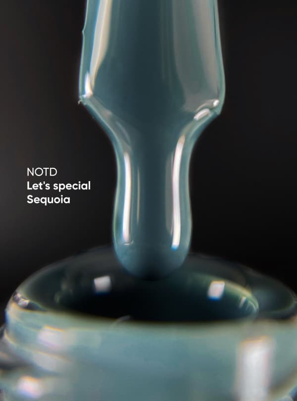 NAILSOFTHEDAY Let's special Sequoia - hybrid lak, 10 ml