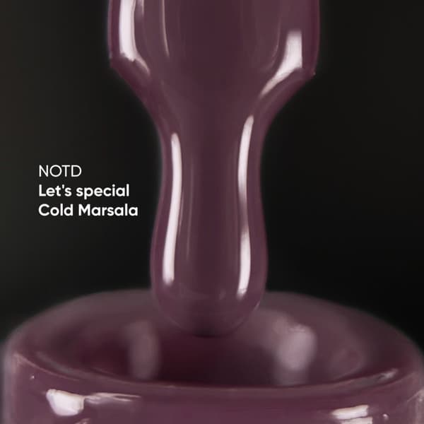 NAILSOFTHEDAY Let's special Cold Marsala - hybridilakka, 10 ml