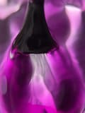 Pikkukuva 1 / 5: TOUCH Alchemy geelilakka 09 Catalyst - purppuranpunainen läpinäkyvä hybridilakka, 9 ml