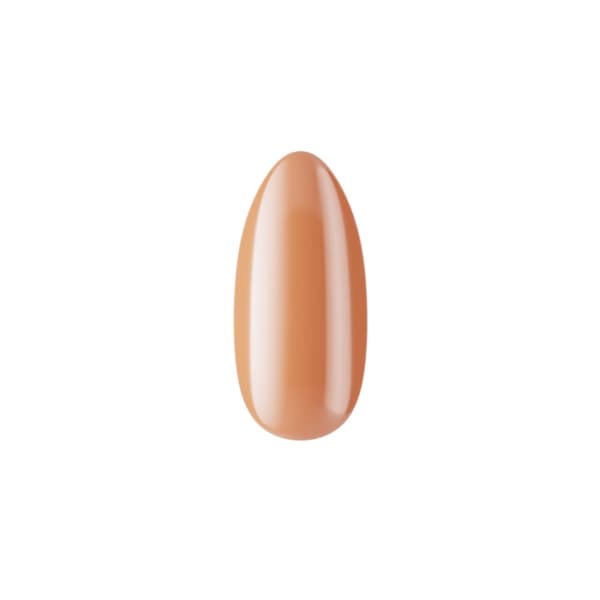 BOSKA NAILS Hybrid Lak Februar 461 - 6ml