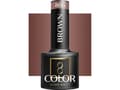 Miniatyrbilde 1 av 5: Activeshop OCHO NAILS Hybrid varnish brown 806 -5 g