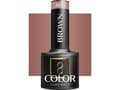 Miniatyrbild 1 av 5: Activeshop OCHO NAILS Hybrid varnish brown 805 -5 g