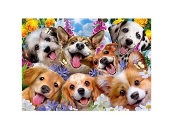 Educa 1000 Puppies Selfie, Howard Robinson