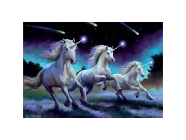Educa 1000 Shooting Stars, Anne Stokes