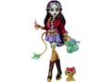 Miniatyrbild 3 av 5: Monster High Core Doll Jinafire