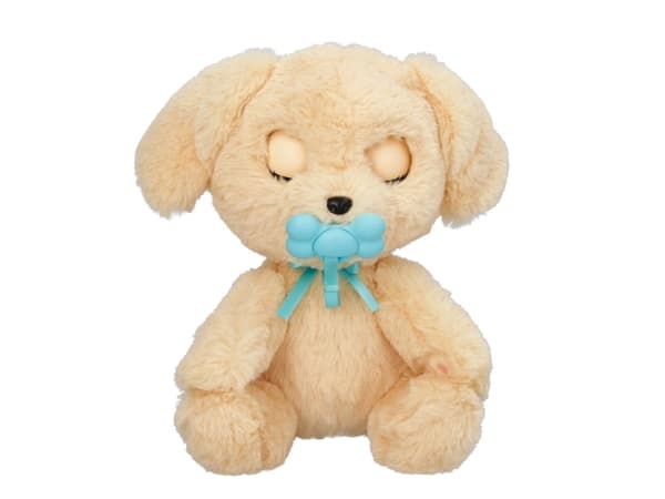 Baby Tassar - Labrador
