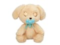 Miniatyrbild 4 av 5: Baby Tassar - Labrador