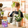 Miniatyrbillede 7 af 11: Mola Comfort papirhåndklæde 300 ark 2 i træk