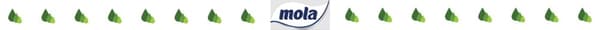 Mola Comfort papirhåndklæde 300 ark 2 i træk
