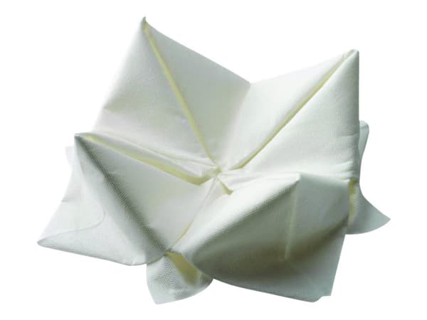 Duni - Serviett - Størrelse 33 x 33 cm - avhendbar - hvit (en pakke 125)