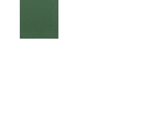 Duni - Servett - Storlek 24 x 24 cm - engångsvara - mörkgrön (paket om 250)
