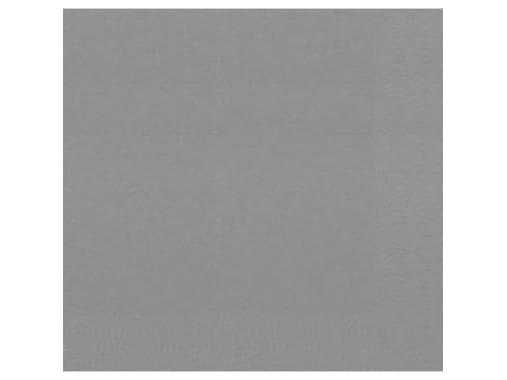 Duni - Servett - Storlek 24 x 24 cm - engångsvara - granitgrå (paket om 250)