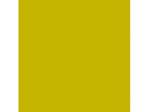 Servett DuniSoft Airlaid 40x40 cm Kiwi,12 st x 60 st/krt