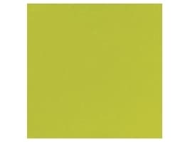 Duni - Serviett - Størrelse 33 x 33 cm - avhendbar - kiwi (en pakke 500)