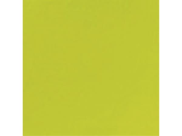 Duni - Serviett - Størrelse 33 x 33 cm - avhendbar - kiwi (en pakke 500)