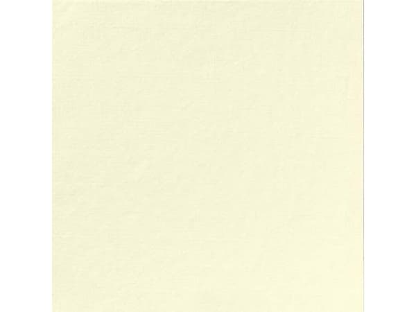 Serviet Dunilin 48x48 cm Cream,36 kpl/pk