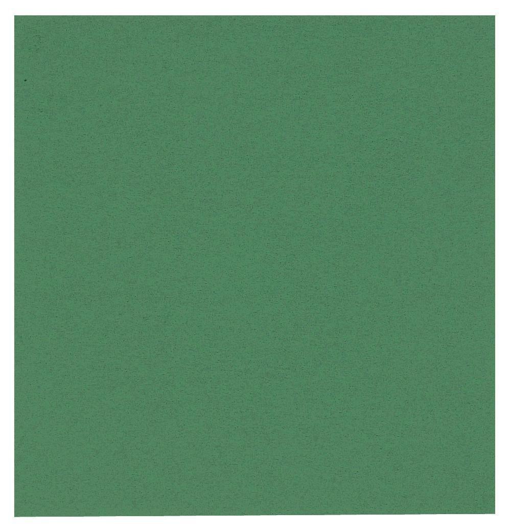 Servett ABENA 1-lags 33x33cm grön 250/FP