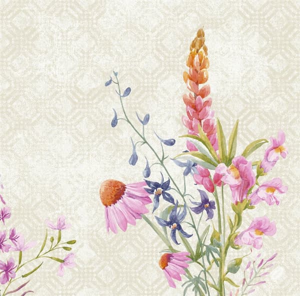 Servett Floret D-soft 40X40cm 60/fp