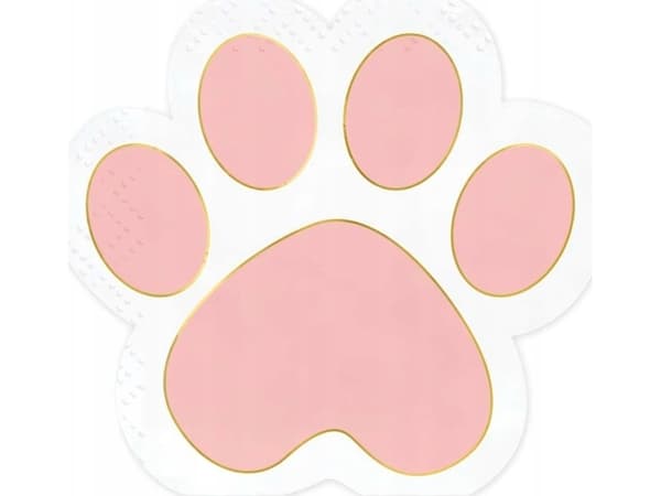 PartyDeco SPK38, Rosa, Vit, papper, Mönstrad, 310 mm, 290 mm, 15,5 cm