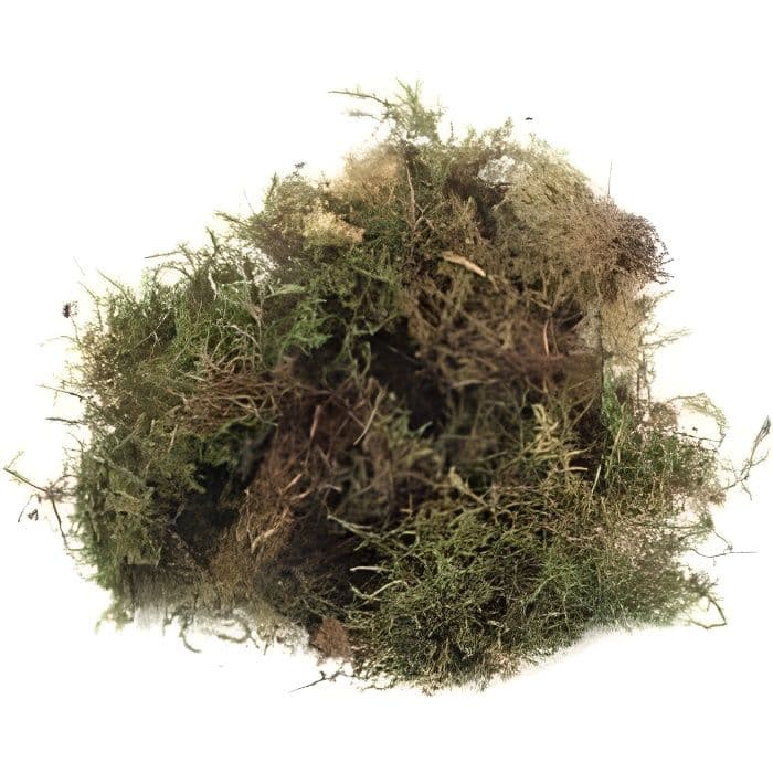 Mousse tallrik 'Rayher' 100g