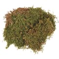 Miniatyrbild 1 av 2: Mousse i plattor - Rayher - 100g - Grön - Blomdekorationer - Julkrubba