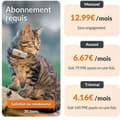 Miniatyrbild 6 av 6: GPS Cat Tracker - Weenect XS (White Edition 2023)