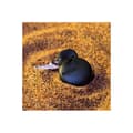Miniatyrbild 5 av 6: Ansluten Boompods Pack 2 Finders Boomtag Svart och Vit