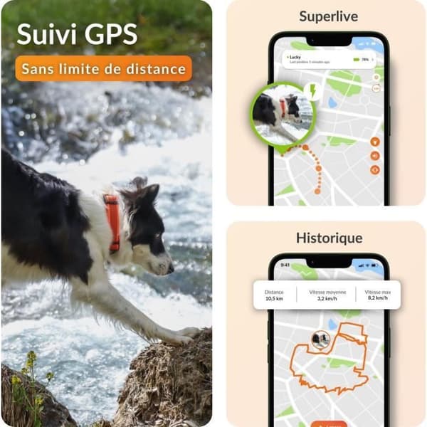 Collar GPS för hund - WEENECT Hund XT - XL Antenn - Vattentät - Julius-K9 Halsband - Fungerar med abonnemang - Orange