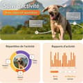 Miniatyrbild 4 av 6: Collar GPS för hund - WEENECT Hund XT - XL Antenn - Vattentät - Julius-K9 Halsband - Fungerar med abonnemang - Orange