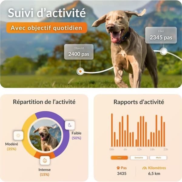Collar GPS för hund - WEENECT Hund XT - XL Antenn - Vattentät - Julius-K9 Halsband - Fungerar med abonnemang - Orange