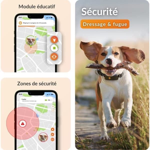 Collar GPS för hund - WEENECT Hund XT - XL Antenn - Vattentät - Julius-K9 Halsband - Fungerar med abonnemang - Orange