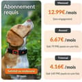 Miniatyrbild 6 av 6: Collar GPS för hund - WEENECT Hund XT - XL Antenn - Vattentät - Julius-K9 Halsband - Fungerar med abonnemang - Orange
