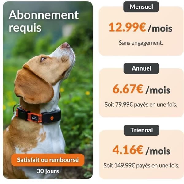 Collar GPS för hund - WEENECT Hund XT - XL Antenn - Vattentät - Julius-K9 Halsband - Fungerar med abonnemang - Orange