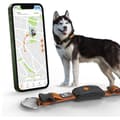 Miniatyrbild 2 av 6: Collar GPS för hund - WEENECT Hund XT - XL Antenn - Vattentät - Julius-K9 Halsband - Fungerar med abonnemang - Orange