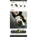 Miniatyrbild 5 av 6: GPS tracker - KIPPY - EVO - Yellow Lemon
