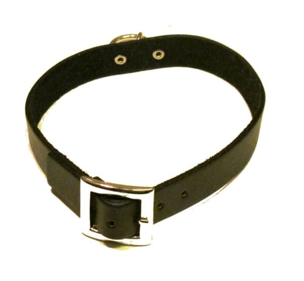Halskjede i sort skinn med ring