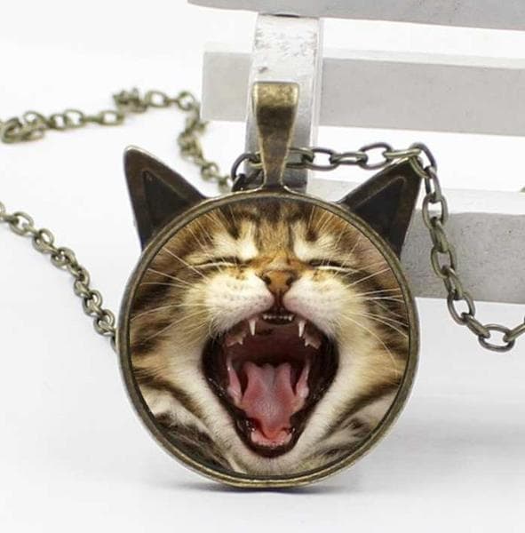Halsband Katt Huskatt Tabby Randig Katt Öron Cat