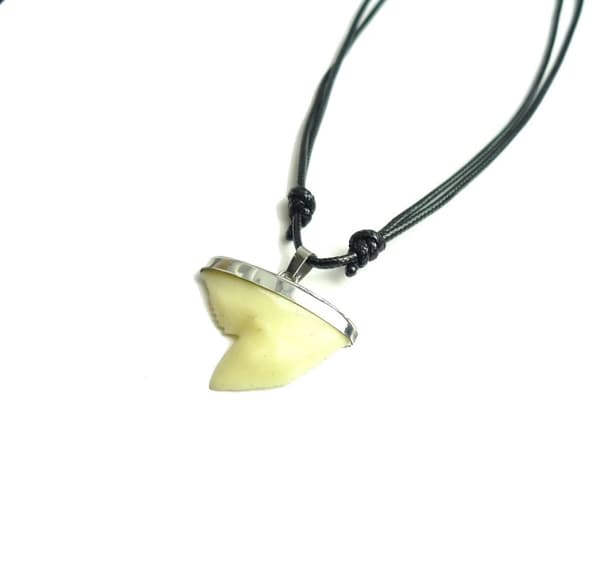Hajtand Halsband