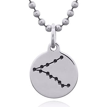 Fiskarnas stjärnbild halsband med litet silverhänge