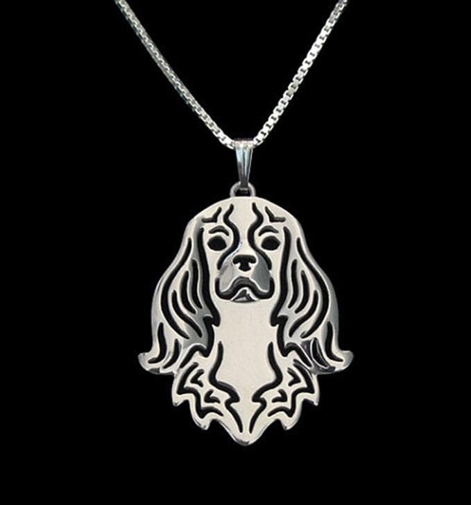 Halsband Cavalier King Charles Spaniel Hund Dog Hundras