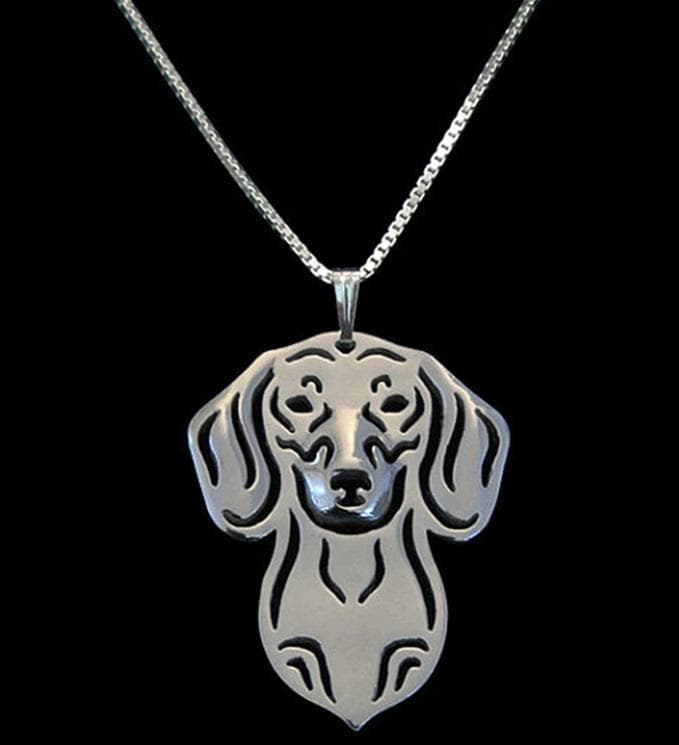 Halsband TAX Korthårig Hund Silverfärgad Djurälskare Dachshund