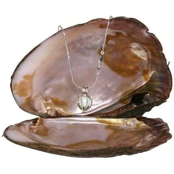 Halsband - Fantasy - Silver - Hjärthänge - Med äkta pärla - Dampresent