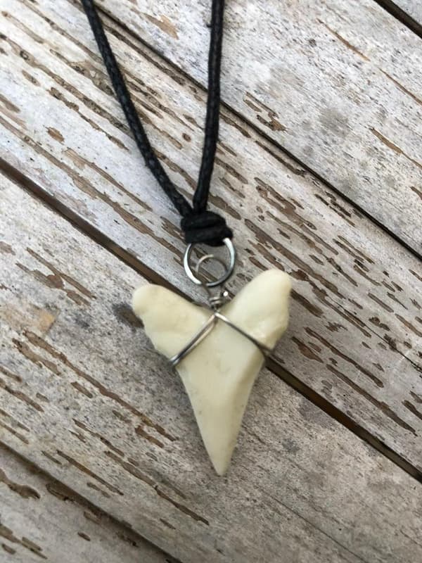Hajtand Bullshark Halsband