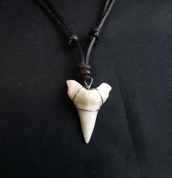 Hajtand Bullshark Halsband