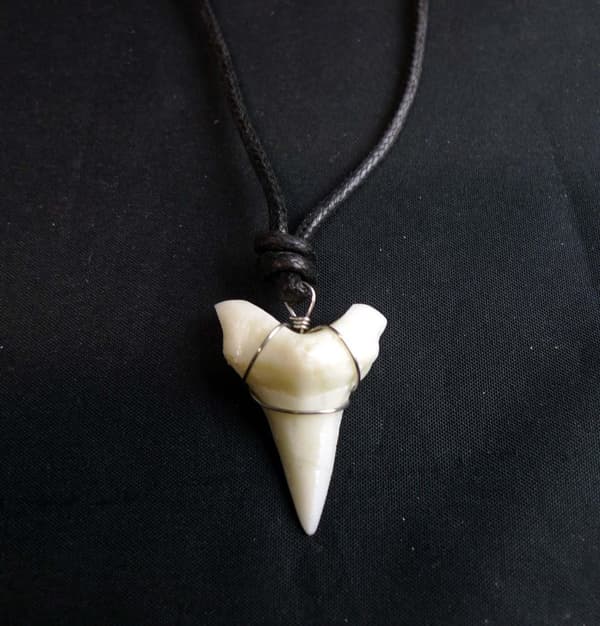 Hajtand Bullshark Halsband Hajtand Bullshark Halsband