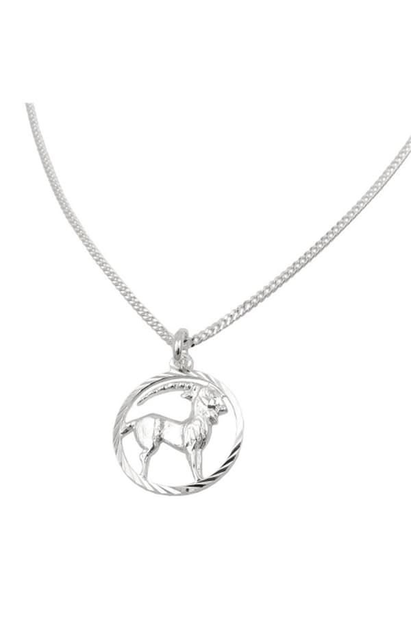 Set Zodiac Capricorn + Chain Silver 925 - GL94101-45