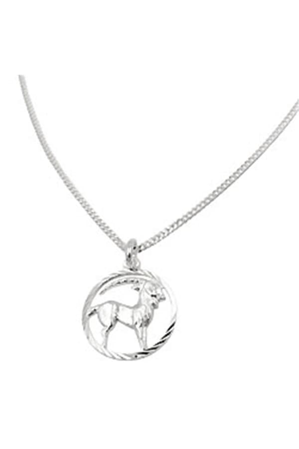 Set Zodiac Capricorn + Chain Silver 925 - GL94101-45
