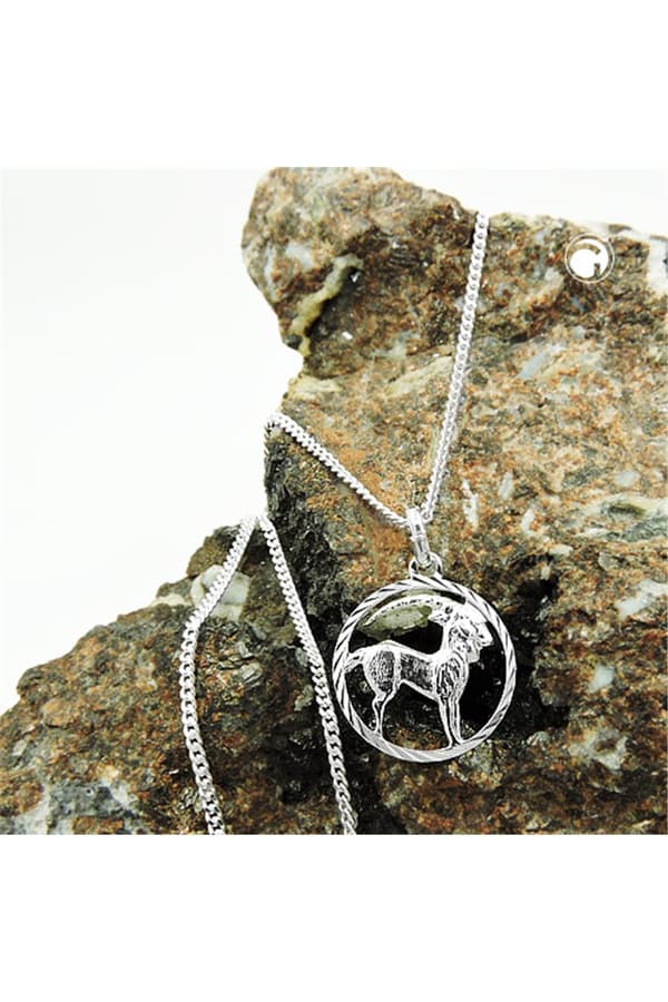 Set Zodiac Capricorn + Chain Silver 925 - GL94101-45