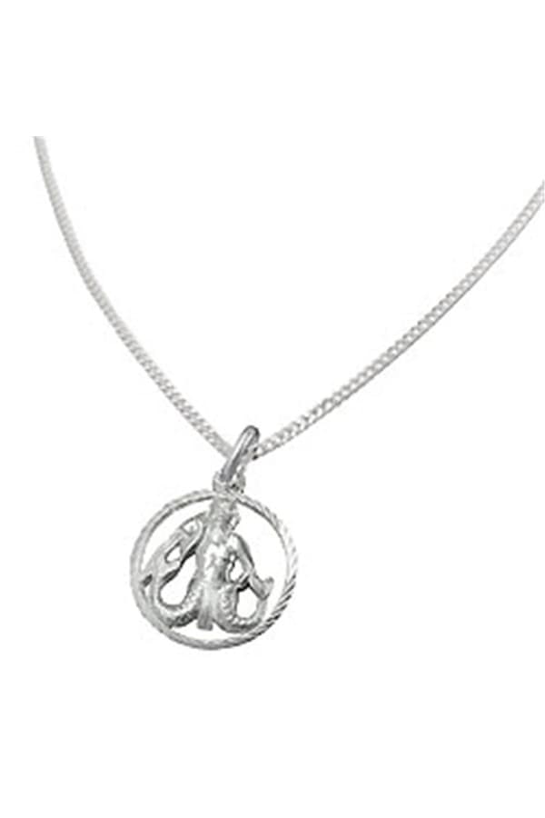 Set Zodiac Aquarius + Chain Silver 925 - GL94102-45